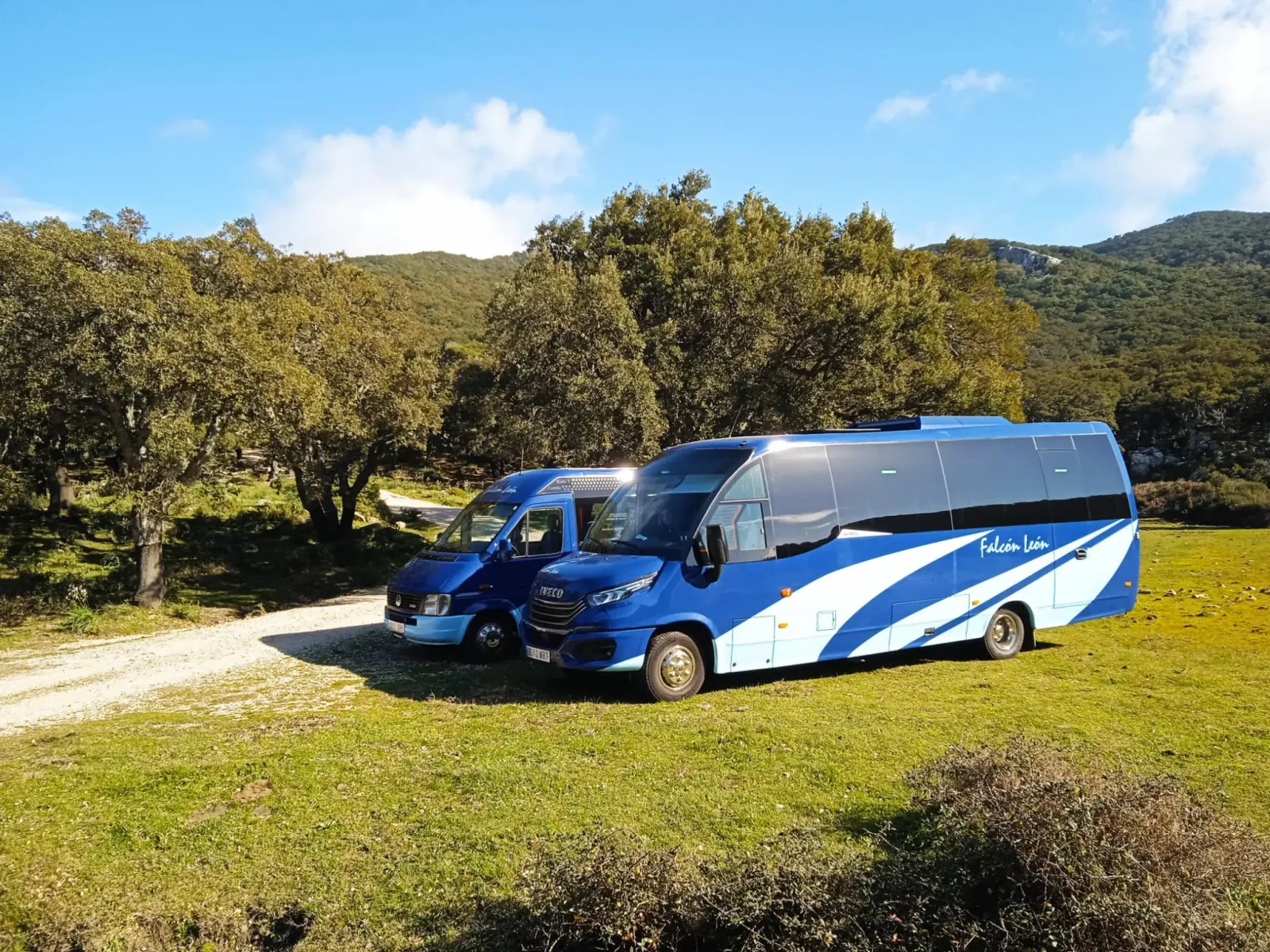 Autocares Falcón León preparados para viajes en autobús desde Sevilla y excursiones por Andalucía